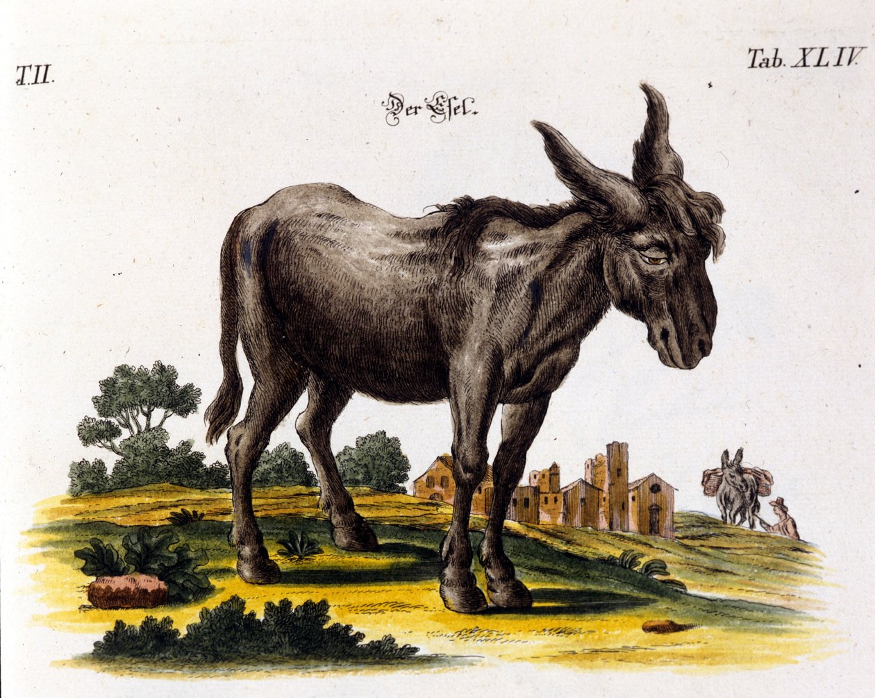 Ankey. Représentation du 18ème siècle - Unknown artist