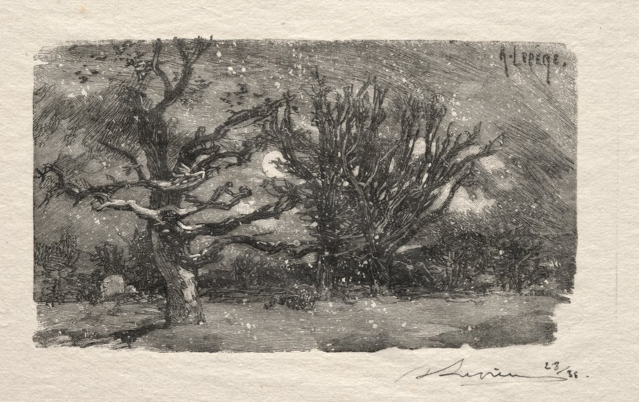 Au dormoir de Lantara - Unknown artist