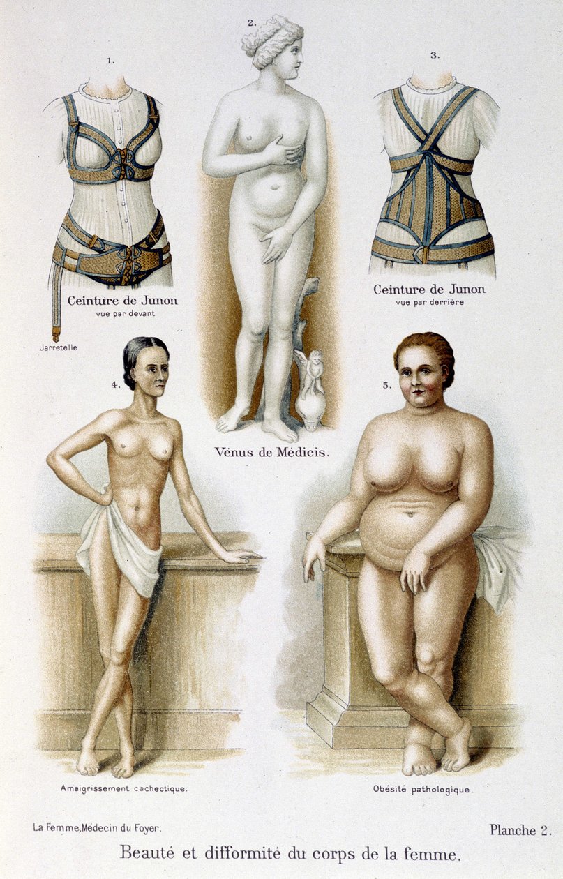 Beauté et difformité du corps de la femme (maigreur et obésité) ; Ceintures de Junon - dans « La femme, médecin du foyer » - Unknown artist