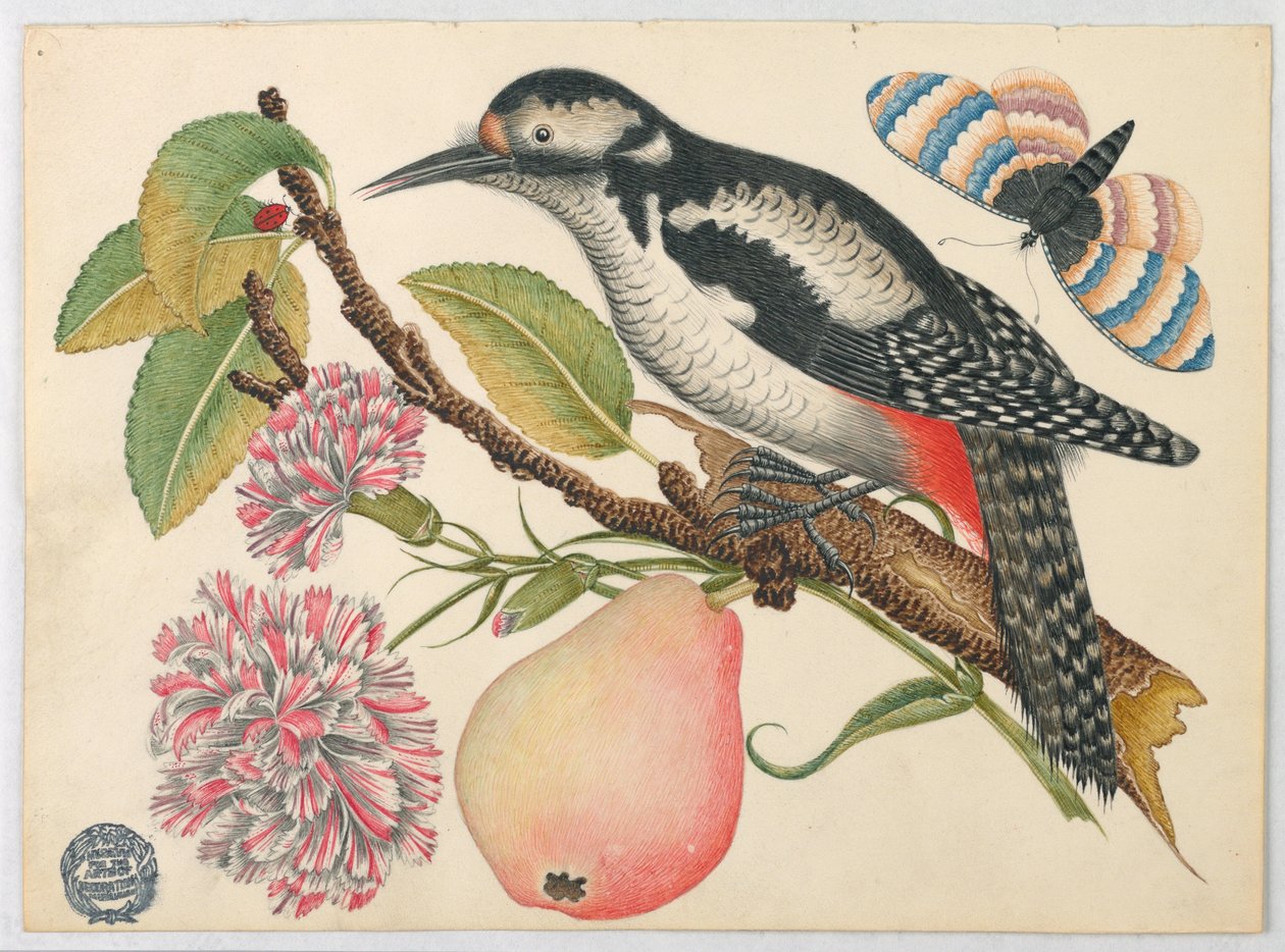 Oiseau, papillon et poire - Unknown artist