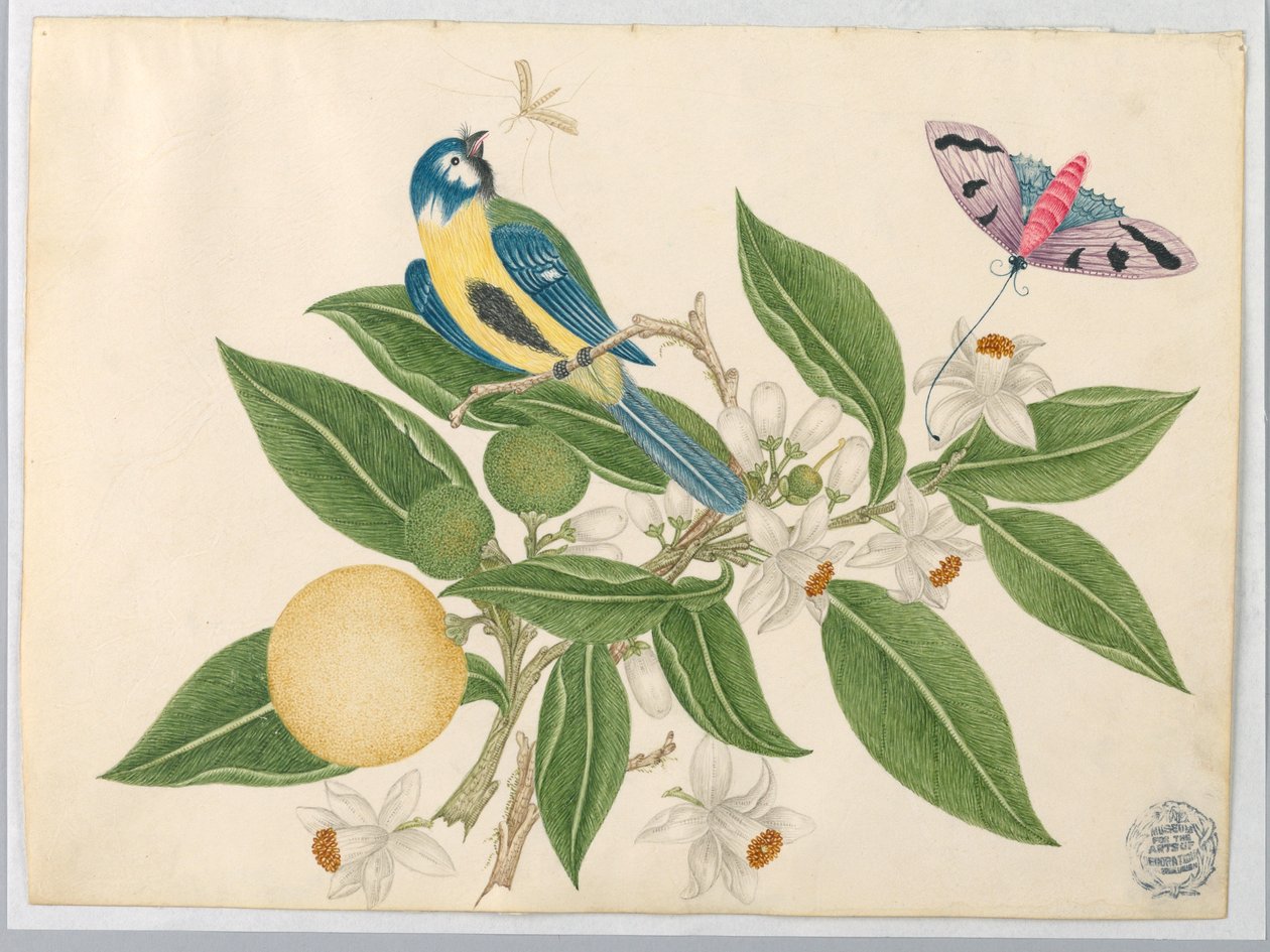 Oiseau sur une branche d