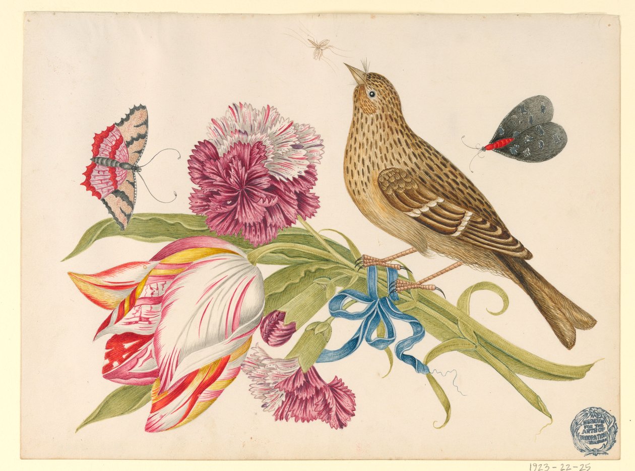 Oiseau avec tulipe, œillet, papillons et insecte - Unknown artist