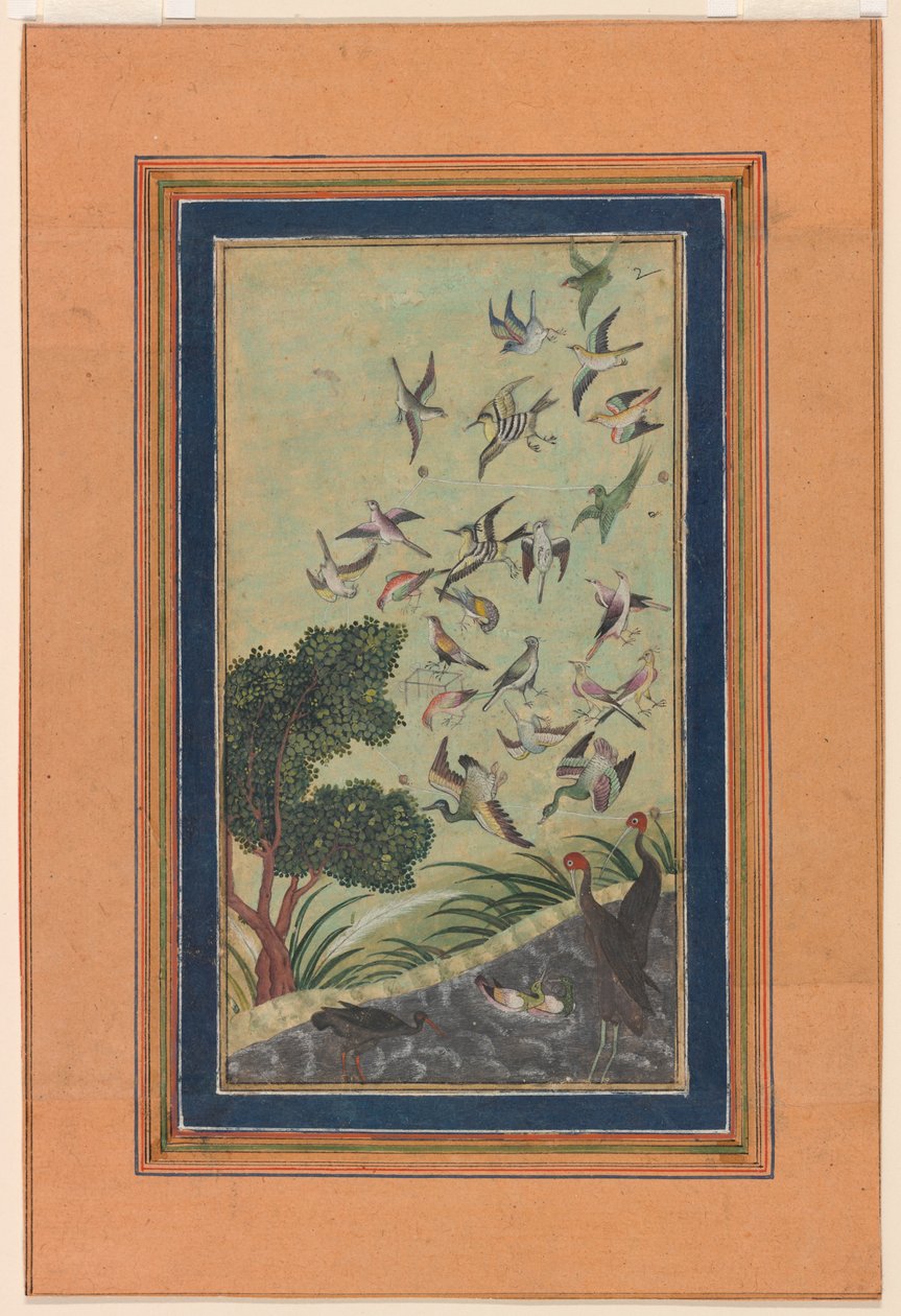 Oiseaux à Baran, peut-être du Babur-nama - Unknown artist
