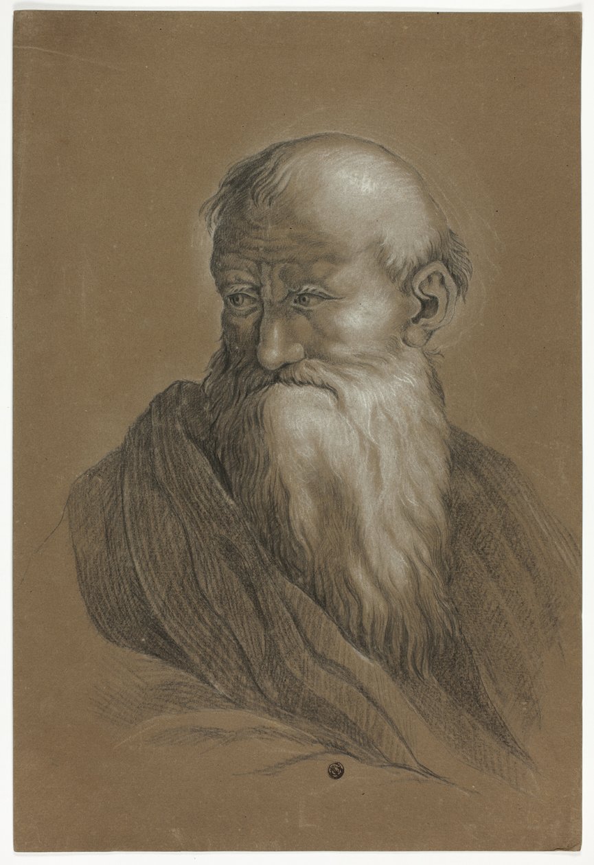 Buste de vieil homme barbu - Unknown artist