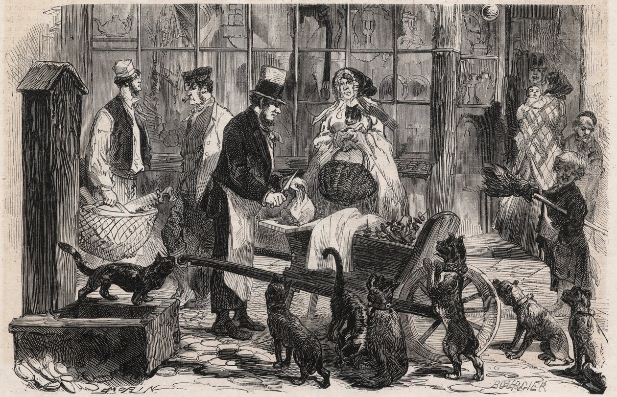 Marchand de viande pour chats dans une rue du quartier de Westminster à Londres, un marchand ambulant de viande de cheval pour chiens et chats - Gravure dans « Le Monde Illustré » - Unknown artist