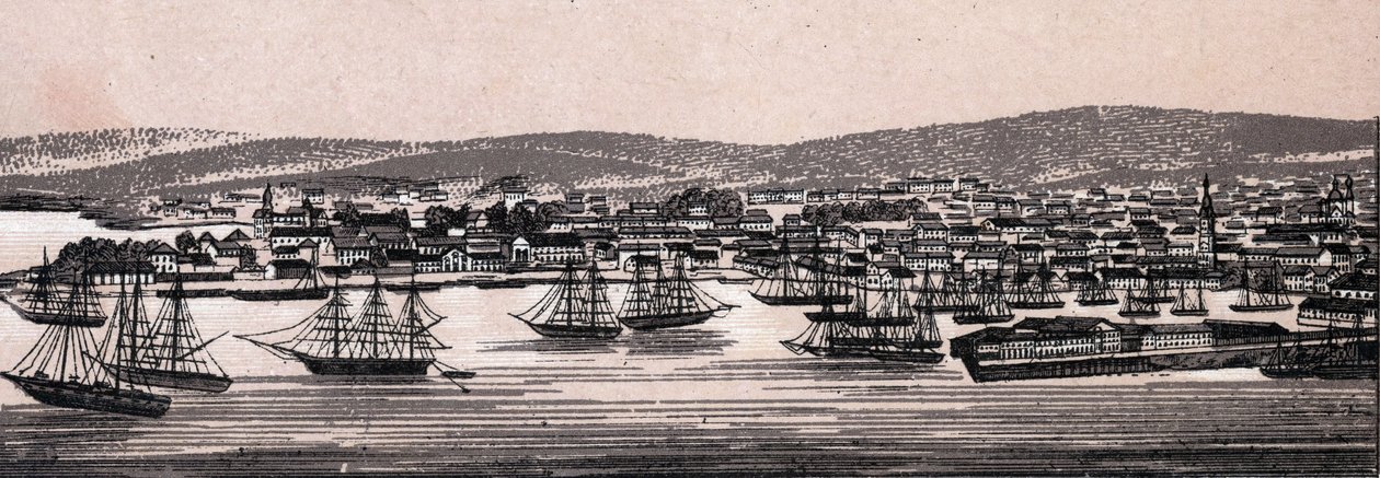 Christiania, Danemark : vue de la ville (Vue Générale) dans « Le Monde Illustré 168 vues » sans date (fin XIXe siècle) - Unknown artist