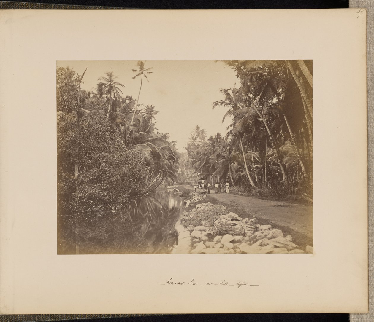 Cacaoyère près de Galle, Ceylan - Unknown artist