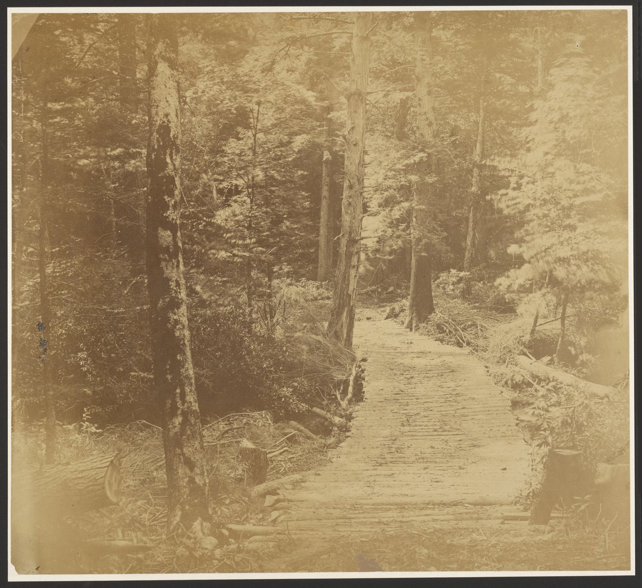[Route de Corduroy sur le chemin de Harper