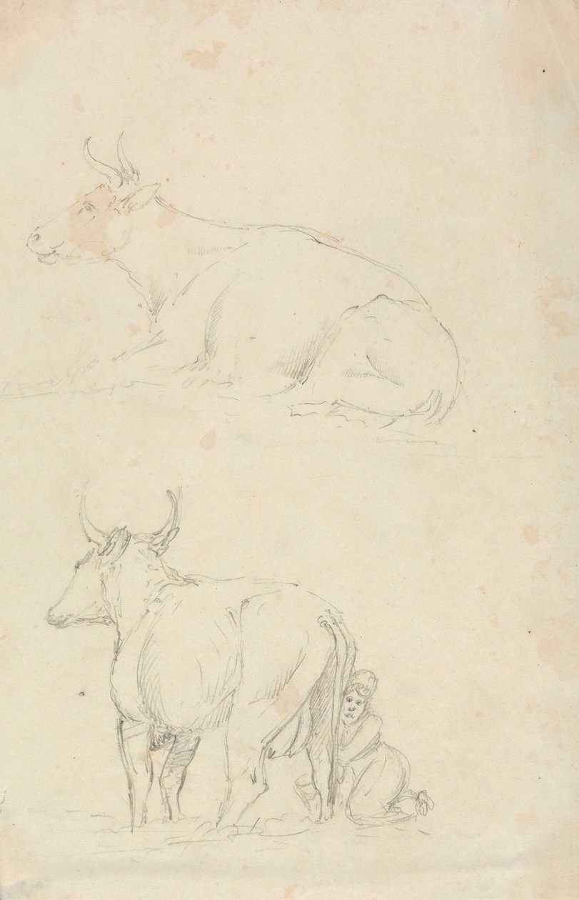 Vaches et laitière - Unknown artist