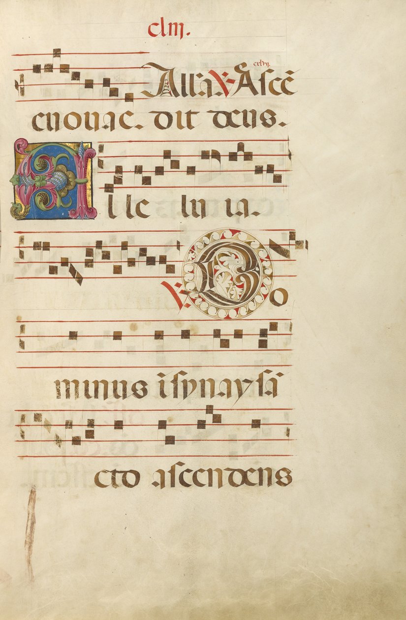 Initiale A décorée ; Initiale D décorée - Unknown artist