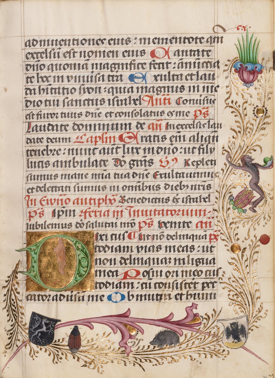 Initiale D décorée - Unknown artist