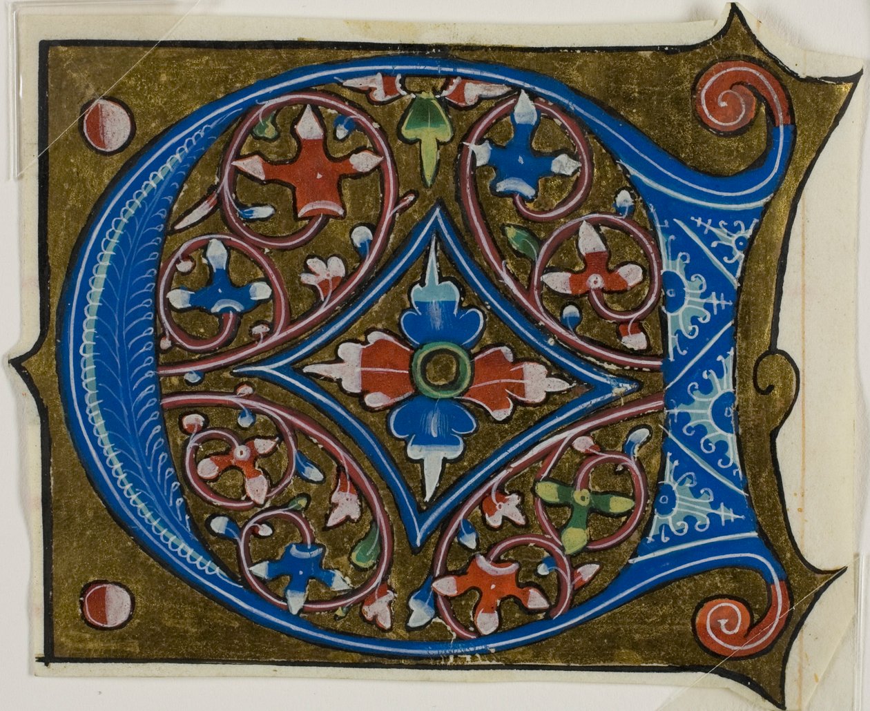 Initiale "D" décorée de feuilles et de deux boules tirées d