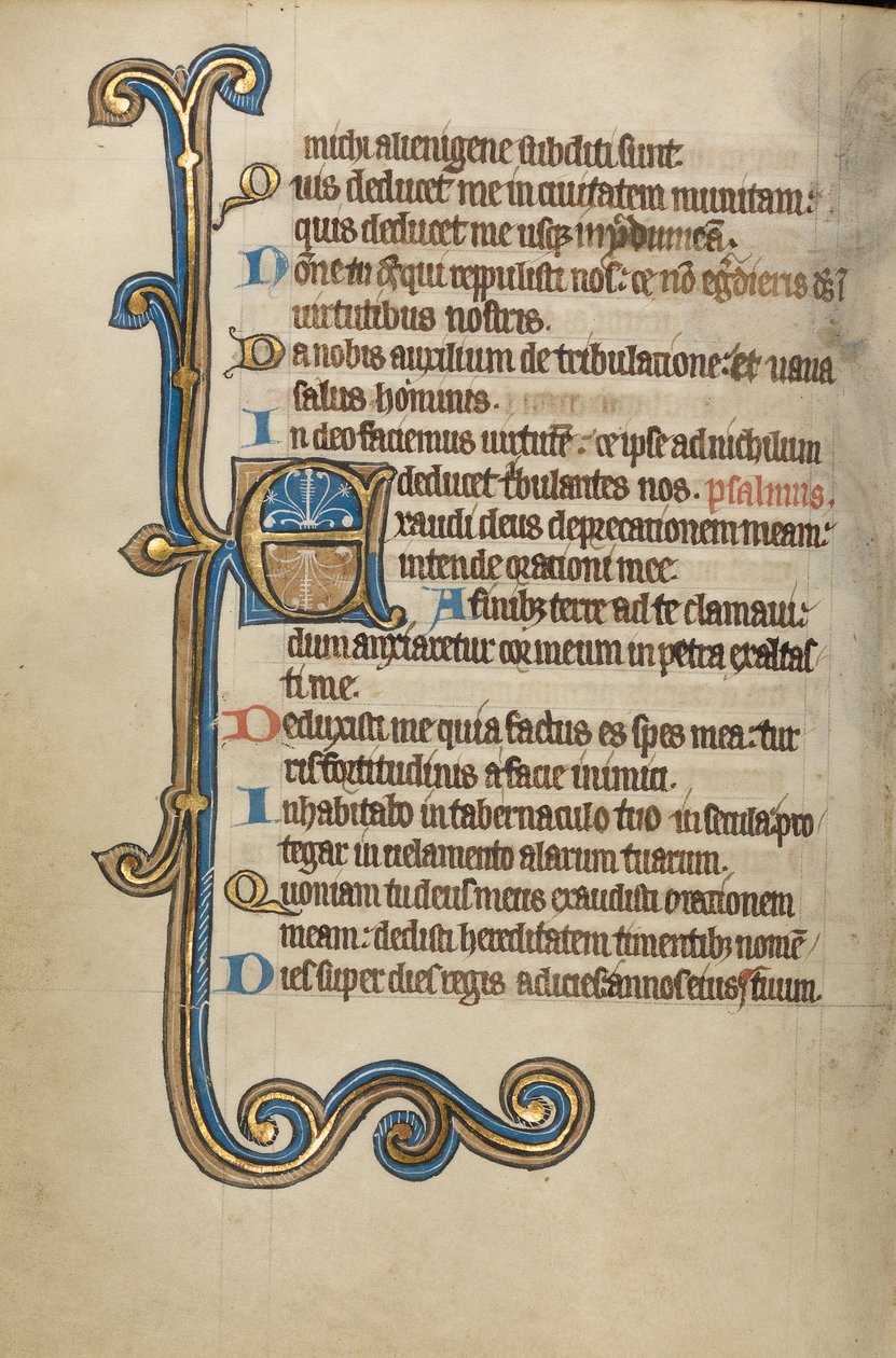 Initiale E décorée - Unknown artist