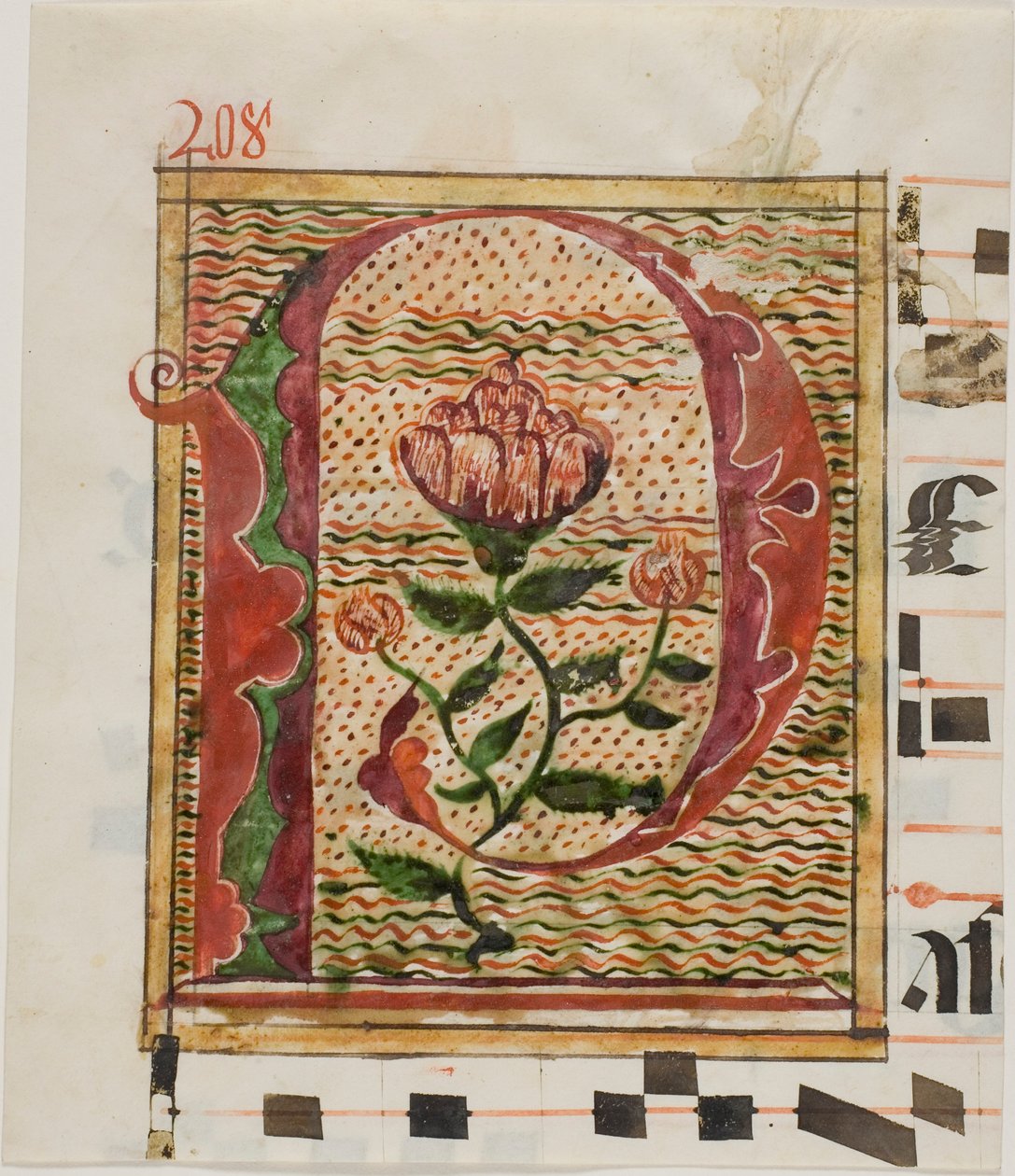 Initiale "P" décorée de fleurs provenant d