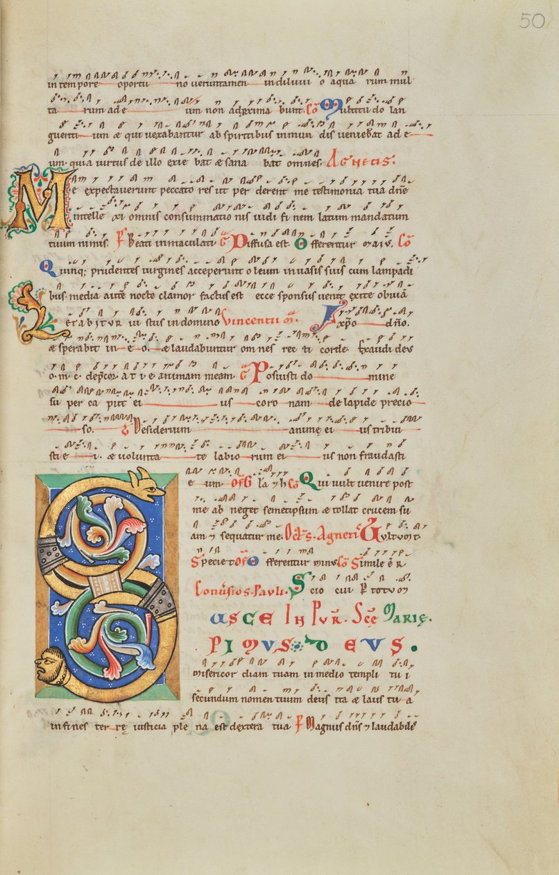Initiale S décorée - Unknown artist