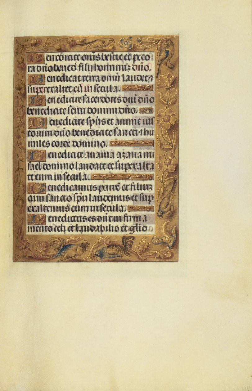 Page de texte décorée - Unknown artist