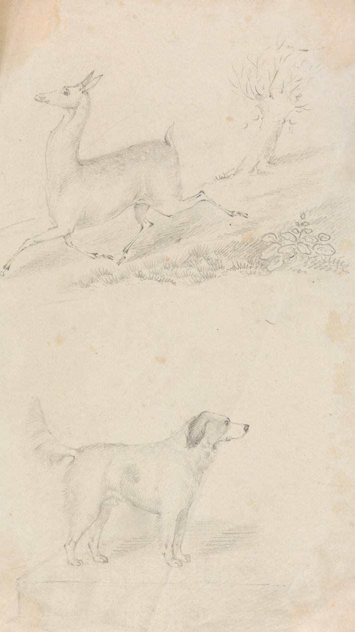 Cerf et chien - Unknown artist