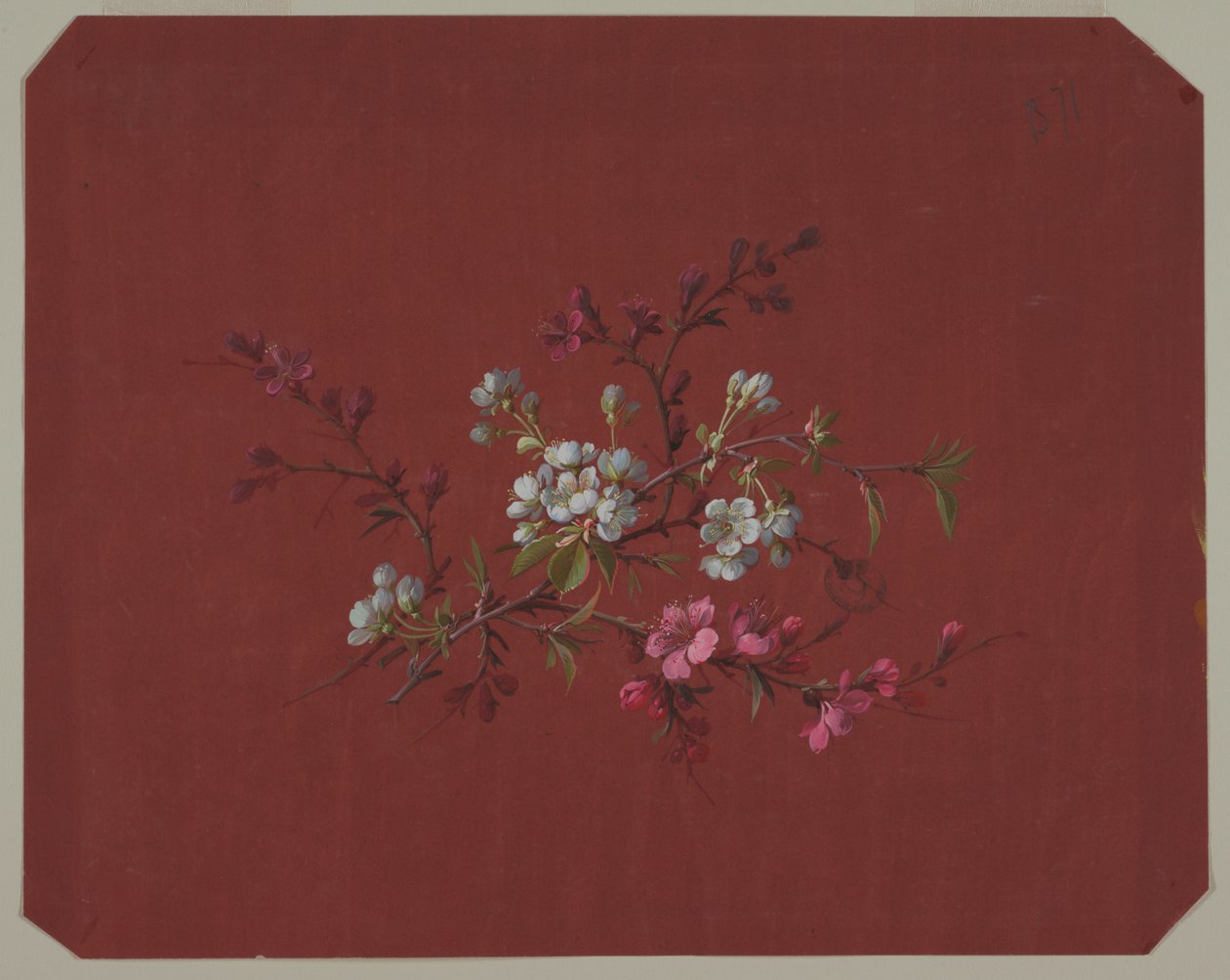 Design pour papier peint et textiles : Fleurs - Unknown artist