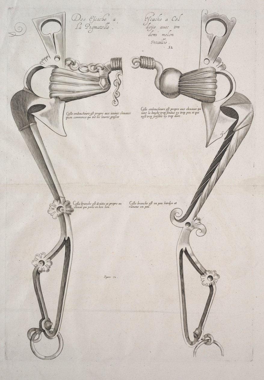 Schéma pour le mors de cheval - Unknown artist