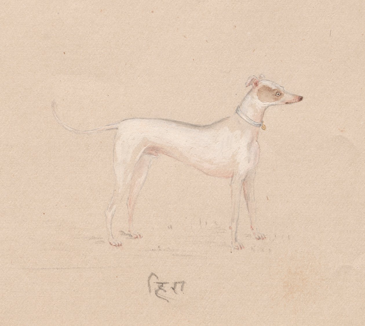Chien - Unknown artist