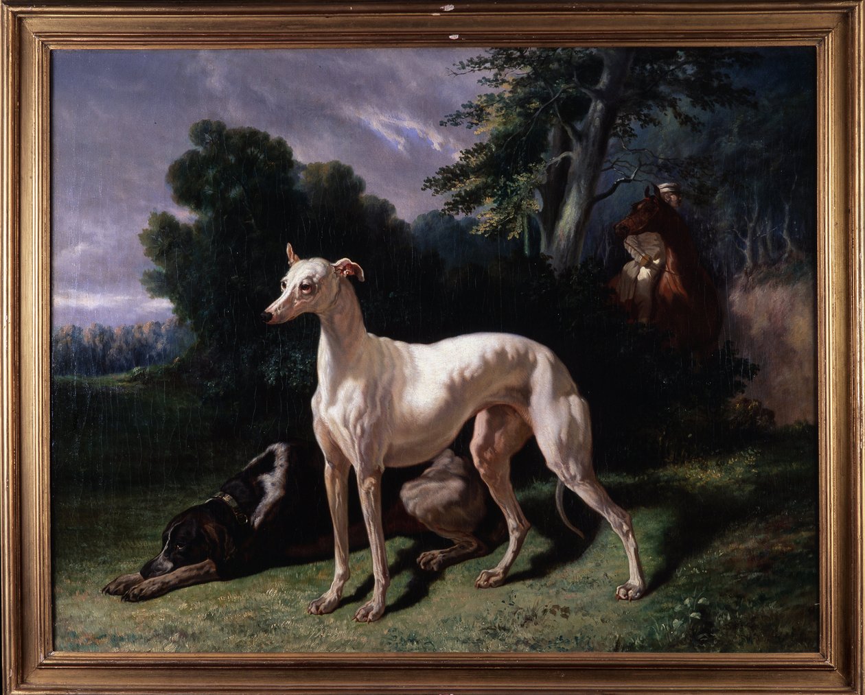 Chiens (Levary) - Unknown artist