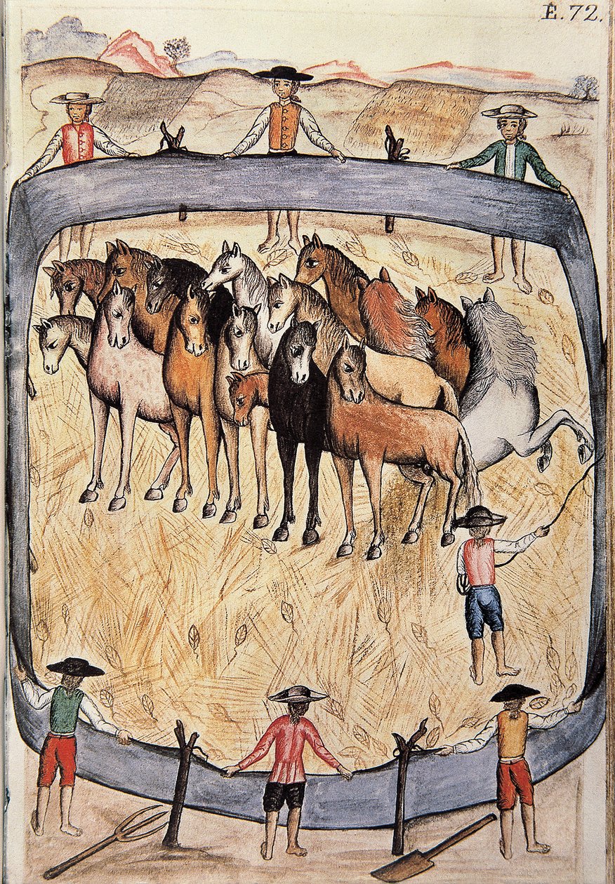Dressage de chevaux sauvages, du livre "Trujillo del Peru" ou "Códice Martínez Compañón", par Baltazar Martinez Compañón y Bujanda, évêque de Trujillo (1782-1785) - Unknown artist