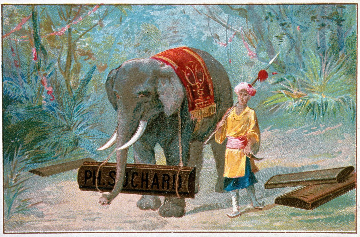 Éléphant et Cornac, publicité "Suchard", v. 1895 - Unknown artist