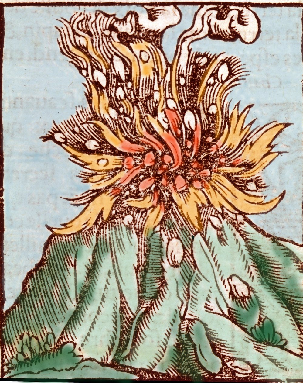 Éruption d