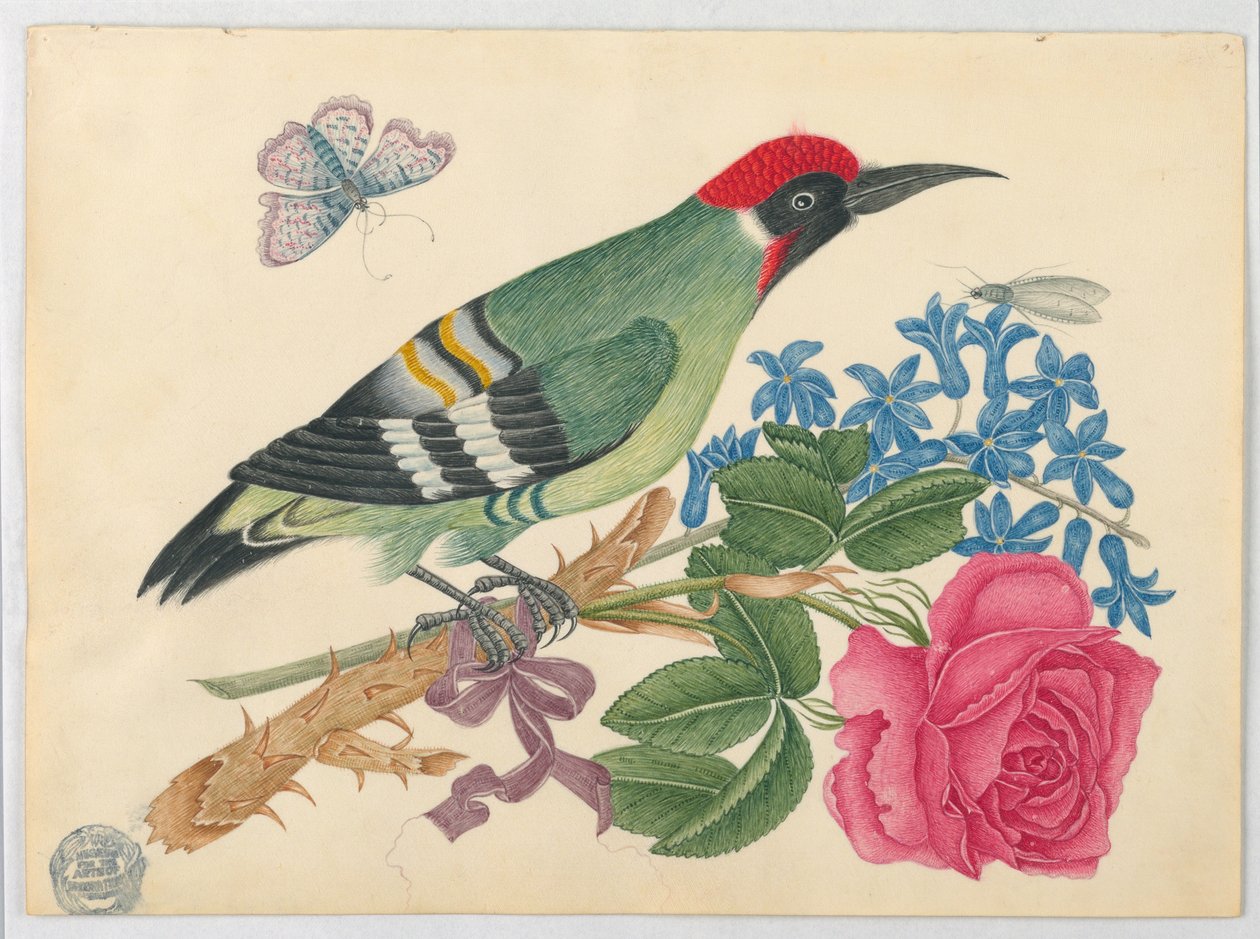 Pic vert européen sur une branche avec rose et myosotis - Unknown artist