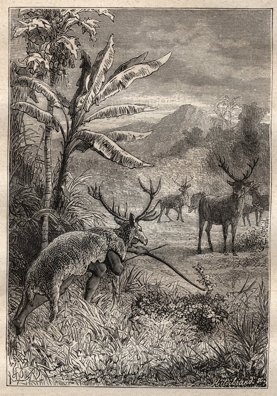 Expédition autour du monde (1785-1788) de Jean François Galaup de La Pérouse (1741-1788) : technique de chasse des Indiens de la baie de Monterey (Californie) - illustration tirée de « Les grands marins du XVIIIe siècle » - Unknown artist
