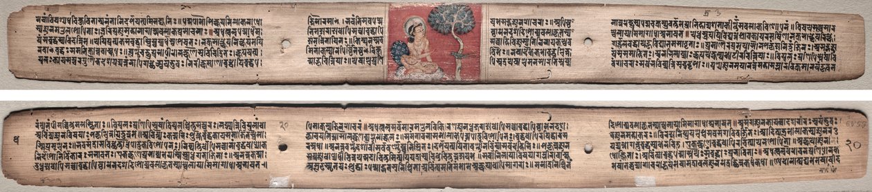 Folio 20, d