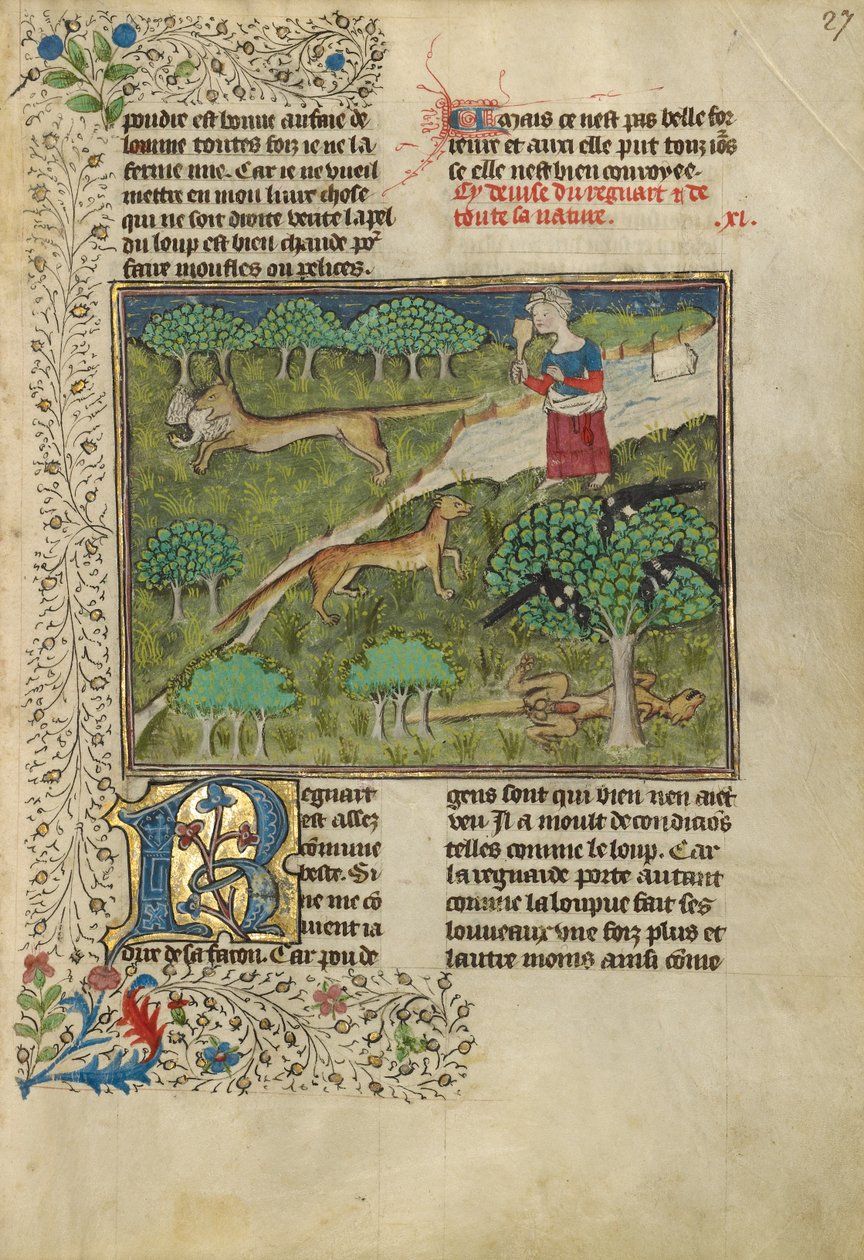 Les renards et leurs ruses - Unknown artist