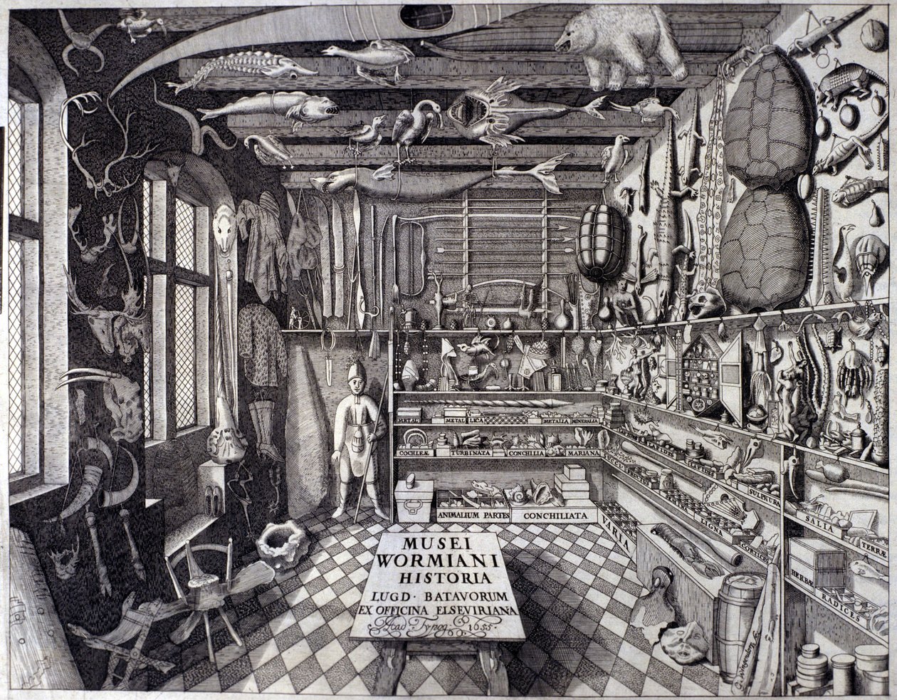 Frontispice de Musei Wormiani Historia - Unknown artist