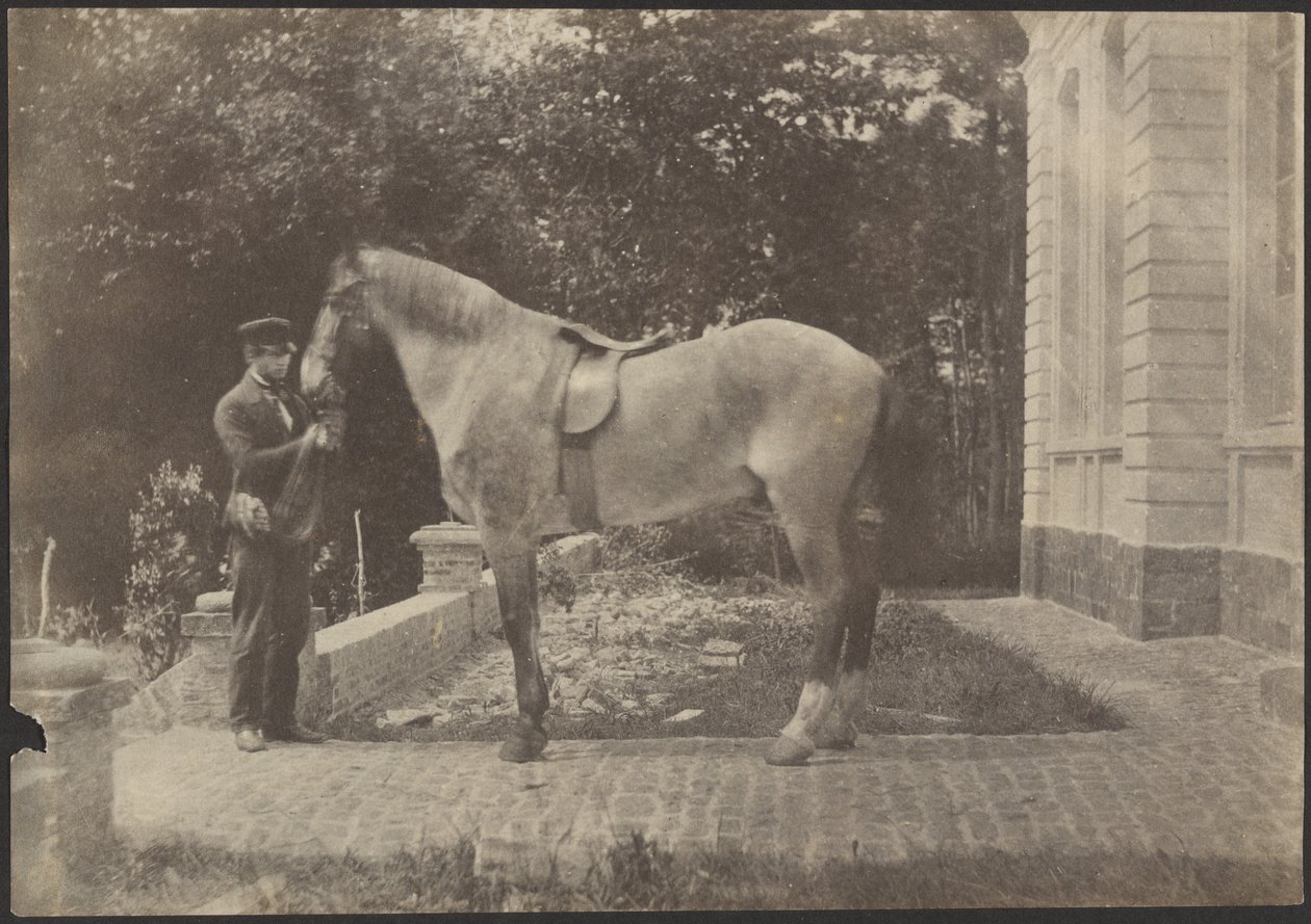 [Le cheval et l