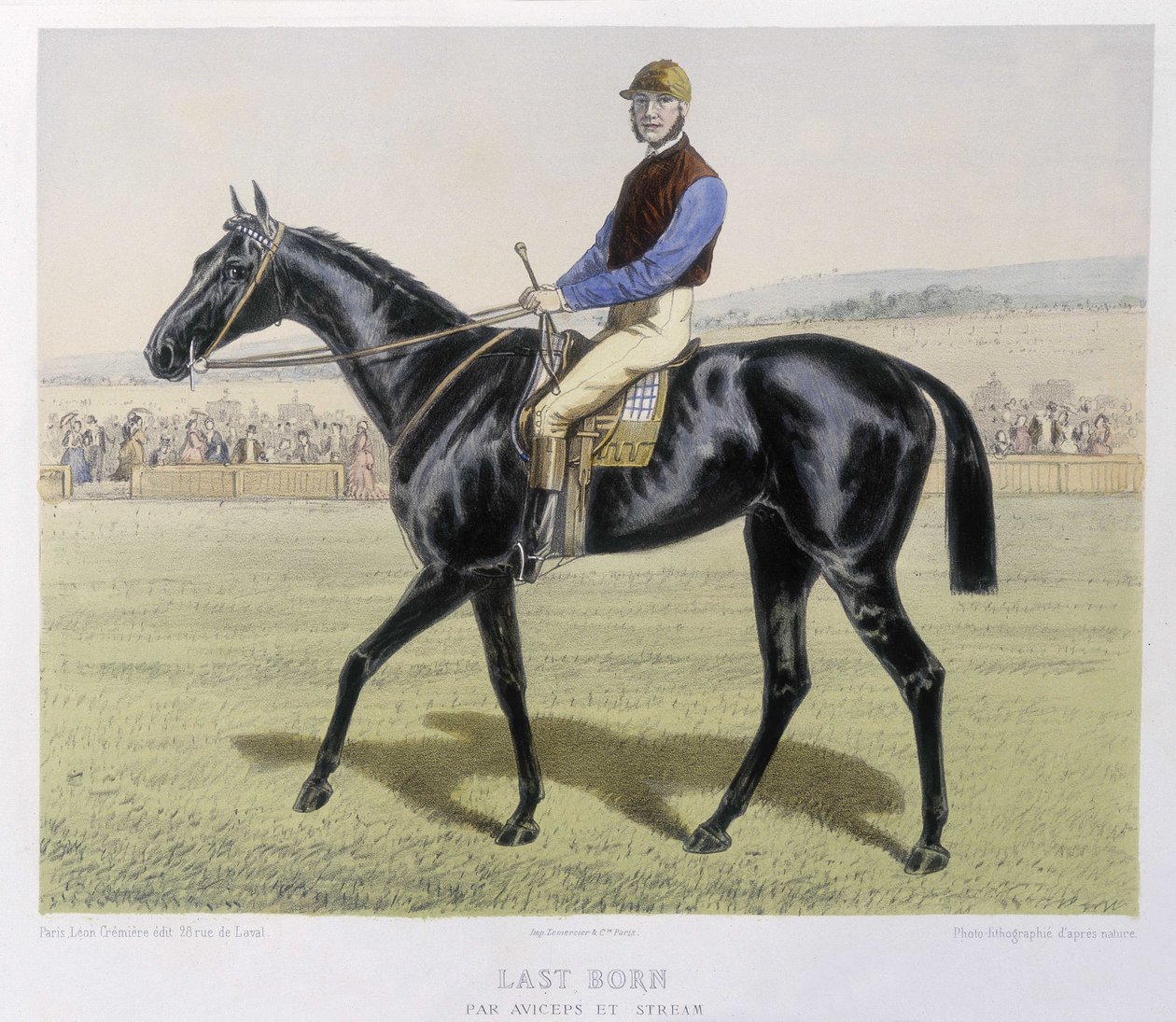 Équitation : Dernier né - dans "le Centaure" - Unknown artist