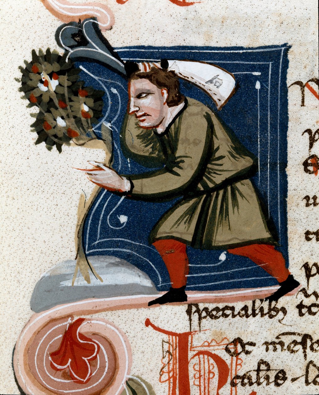 Horticulture : rempotage d