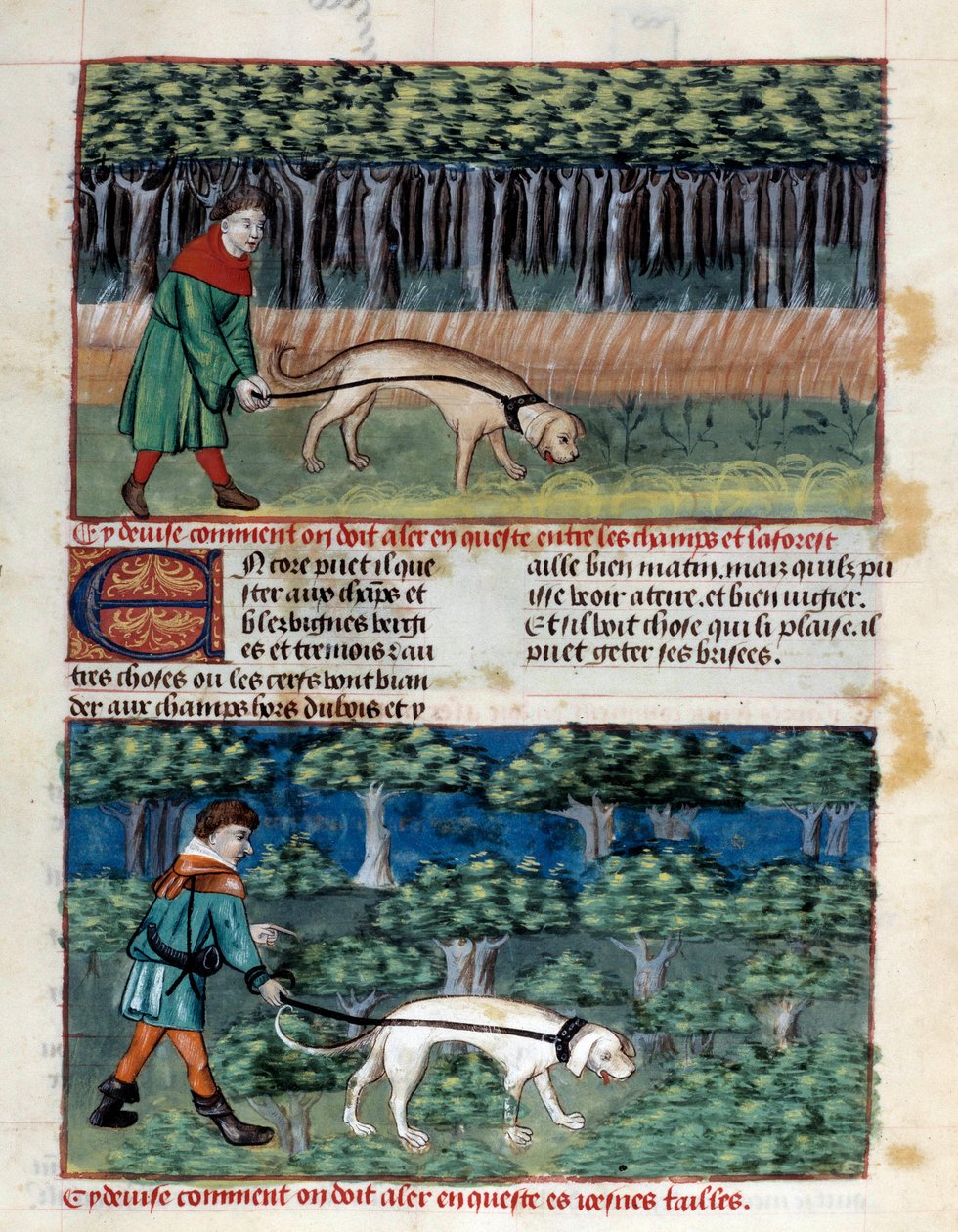 Comment conduire les chiens Miniature tirée du "Livre de la chasse" de Gaston III Phoebus, comte de Foix, seigneur de Béarn (1331-1391) - Unknown artist