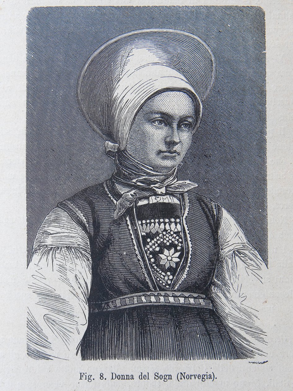 Illustration de "La race humaine" par Louis Figuier - Unknown artist