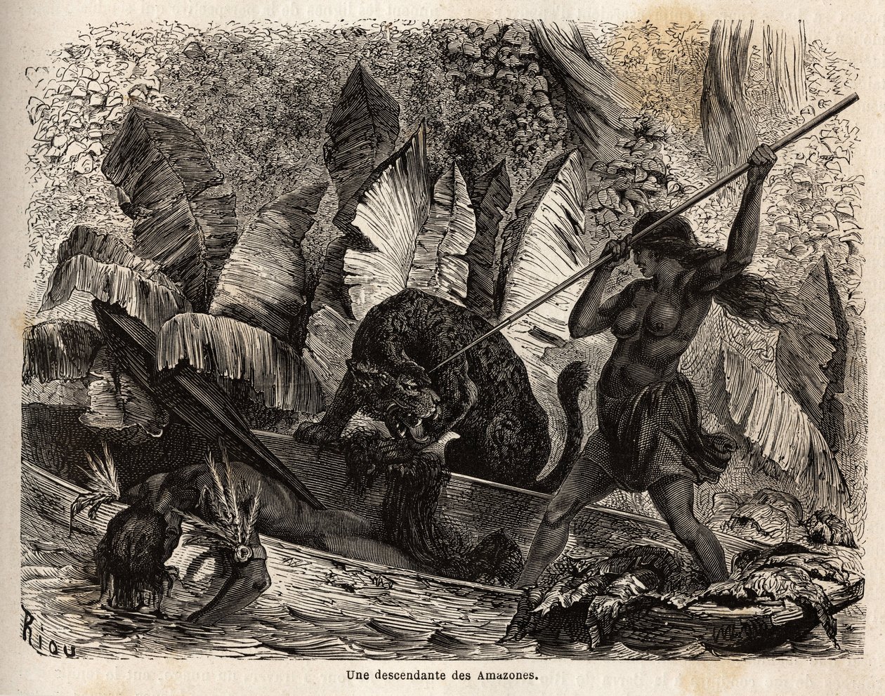 Ticuna indien (Pérou) attaquant avec une lance un tigre qui vient de sauter dans son canoë et a blessé son compagnon, les ticunas de la rivière Nhamondas sont réputés pour leurs femmes guerrières, donc les premiers voyageurs et savants à les observer les o - Unknown artist