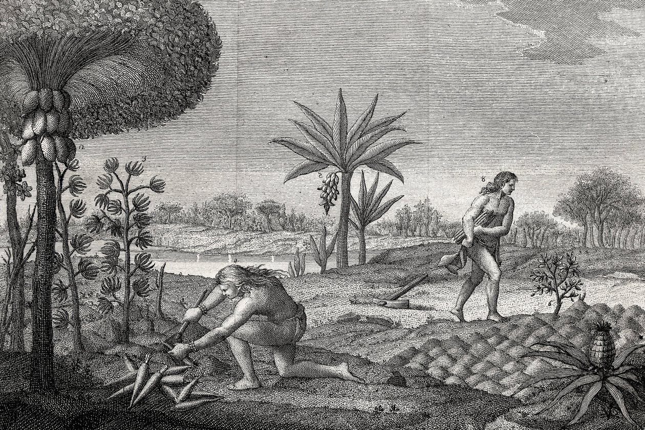 Indigènes travaillant la terre dans le bassin de l