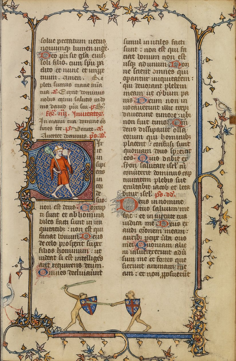 Initiale D : Le fou - Unknown artist