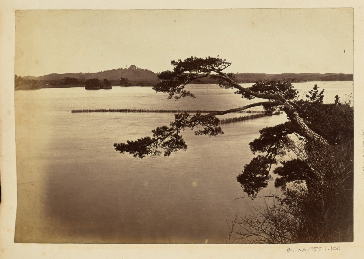 [Paysage avec lac et arbres] - Unknown artist