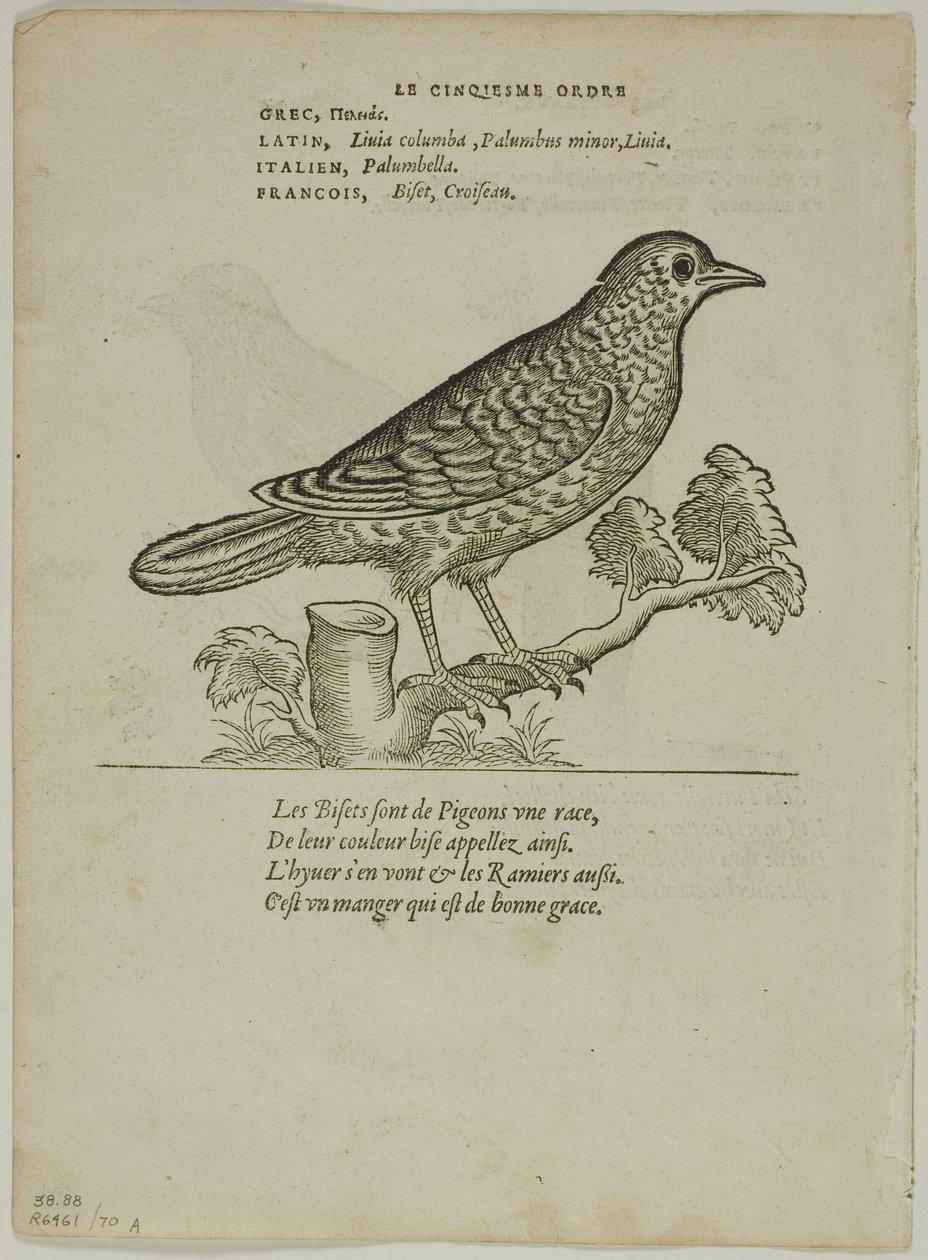 Feuillet des Portraits d