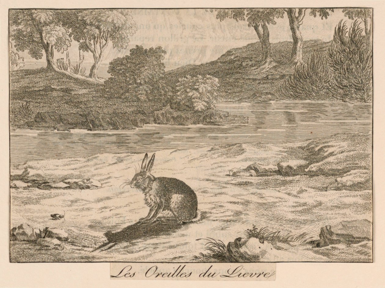 "Les Oreilles du Lièvre" des Fables de La Fontaine - Unknown artist