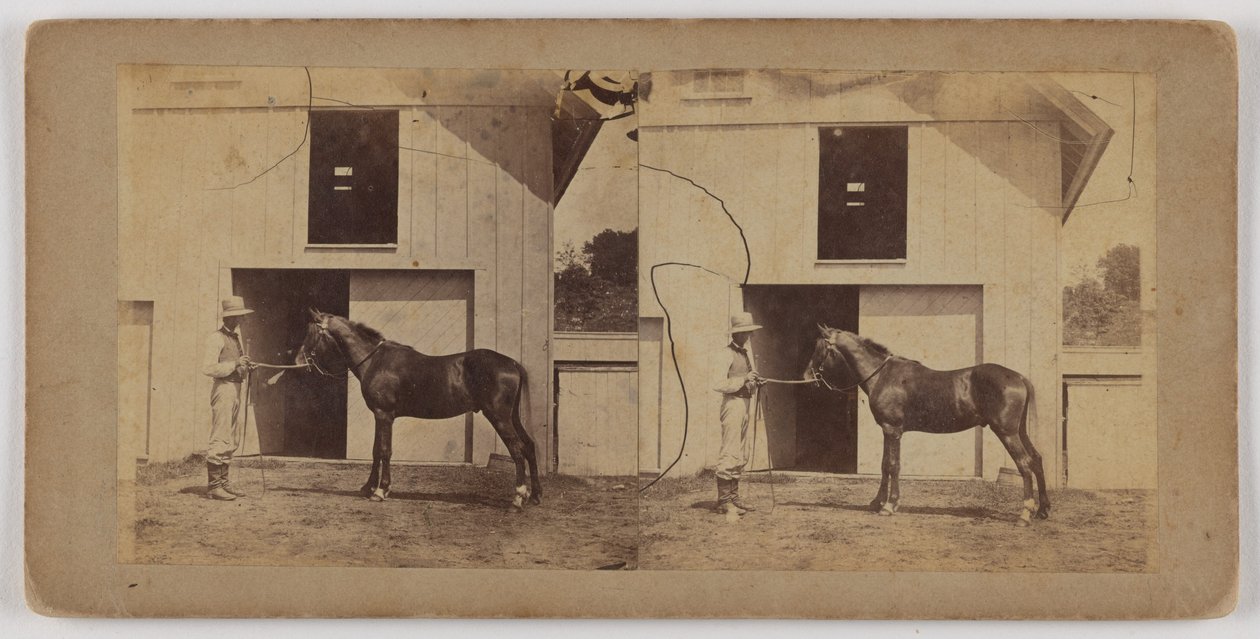 [Homme tenant le cheval par la bride] - Unknown artist
