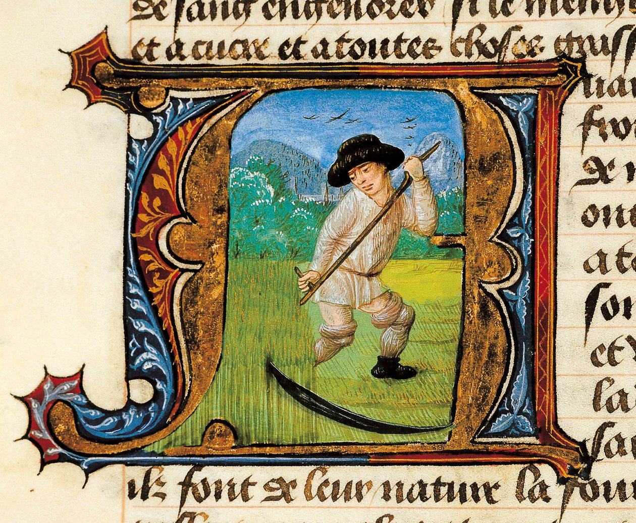 Médecine : un paysan fauchant le blé. Miniature tirée du Traité de médecine d