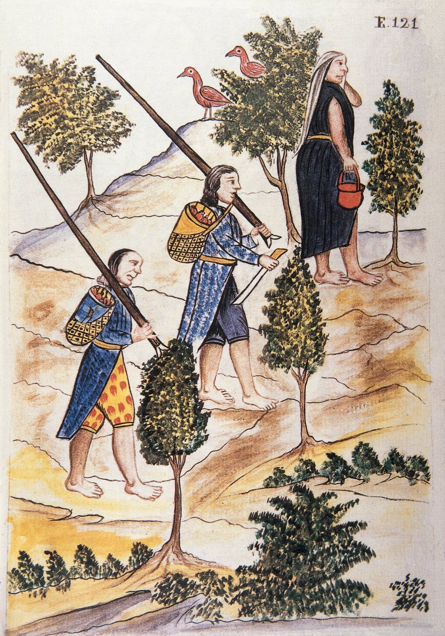Indiens Motilones allant chasser, du livre "Trujillo del Peru" ou "Codex Martínez Compañón", par Baltazar Martinez Compañón y Bujanda, évêque de Trujillo (1782-1785) - Unknown artist