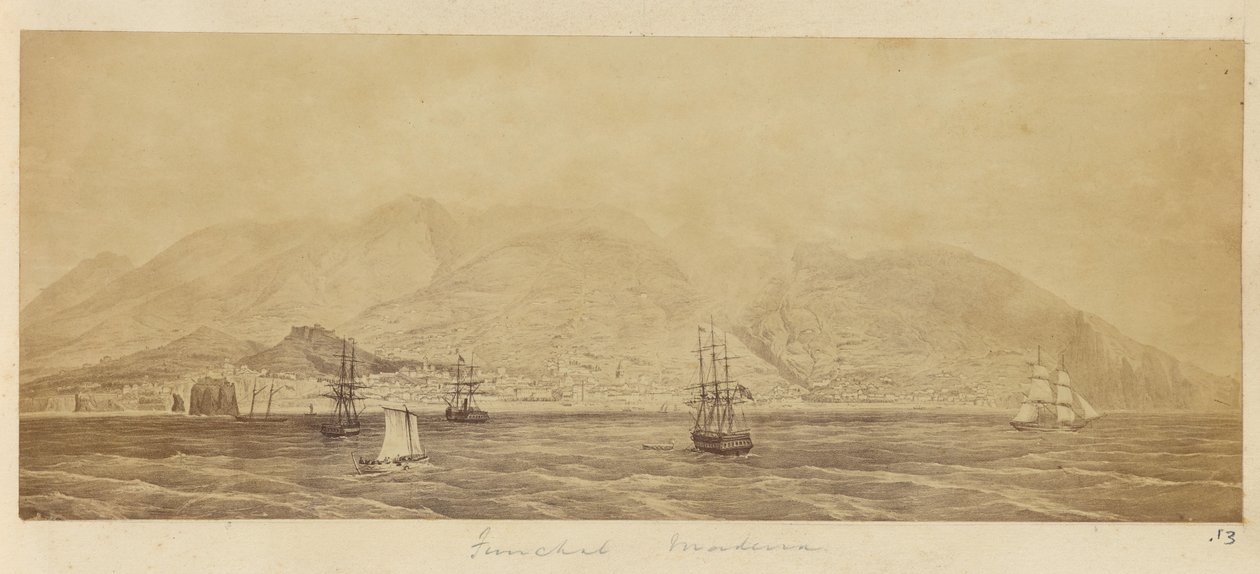 [Panorama du port, Funchal, Madère] - Unknown artist