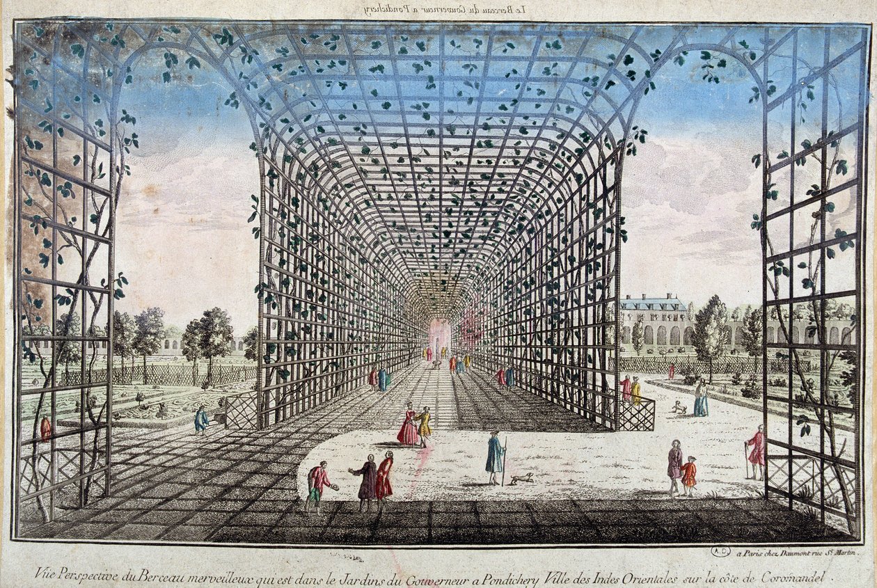 Vue en perspective du berceau merveilleux qui se trouve dans le jardin du Gouverneur à Pondichéry, ville des Indes orientales sur la côte de Coromandel - gravure - Unknown artist