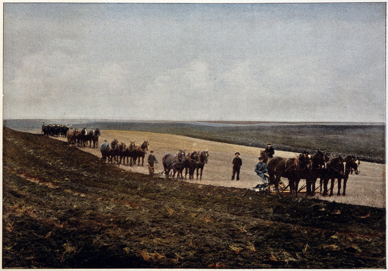 Labourage dans les plaines du Manitoba (Canada), fin du 19ème siècle - Unknown artist